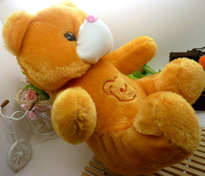 毛绒玩具小熊/金色小熊 毕业生日礼物礼品