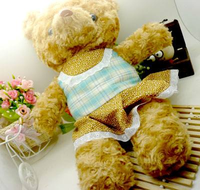 儿童毛绒玩具 穿衣服小熊 生日礼物