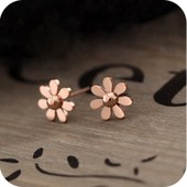 韩国饰品 小清新简约光面小雏菊花耳钉 耳饰 5g