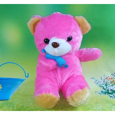 可爱泰迪熊玩具 抱抱毛绒熊 公仔圣诞节生日礼物女生小孩玩偶