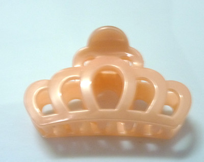 精美新时代/皇冠/精美爪夹