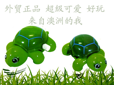 澳洲正品发条小乌龟/淘气小乌龟  质量超好 益智玩具 上链爬爬澳洲龟