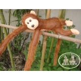 眼睛亮 会叫 抱抱猴 挂猴 长臂猴  金丝猴 毛绒玩具 布娃娃 公仔 送人礼物