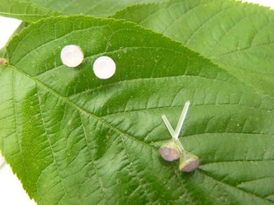 特价韩版防过敏水钻耳钉女...