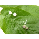 特价韩版防过敏水钻耳钉女 气质耳饰时尚潮流耳针 水晶耳钉水钻耳饰品