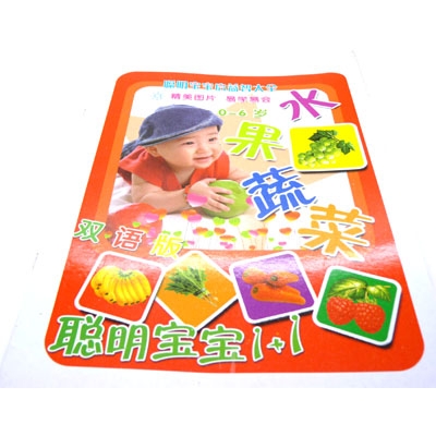 宝宝识字挂图 婴儿挂图认知启蒙 儿童早教挂图----16K聪明宝宝1+1