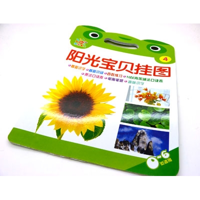 宝宝识字挂图 婴儿挂图认知启蒙 儿童早教挂图----阳光宝贝挂图