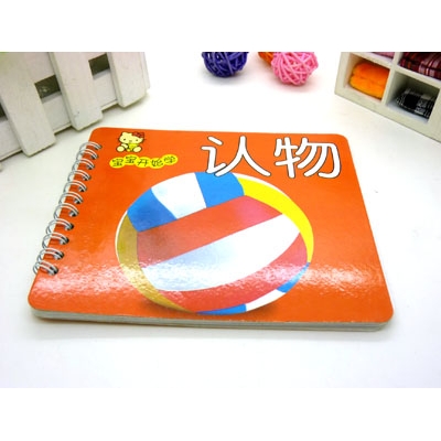 早教书本 儿童识图教材书籍 启蒙图书 幼儿学前识字系列----宝宝开始学