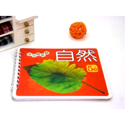 儿童早教卡 启蒙识字卡 高档立体封面 幼儿学习口袋书----学习随意翻	