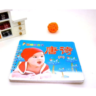 儿童早教卡 启蒙识字卡 高档立体封面 幼儿学习口袋书----聪明宝宝学	