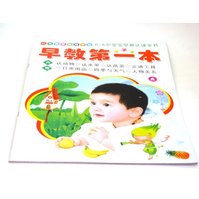 早教书本 儿童识图教材书籍 启蒙图书 幼儿学前识字系列----早教第一本	