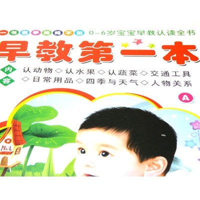 早教书本 儿童识图教材书籍 启蒙图书 幼儿学前识字系列----早教第一本