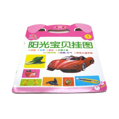 特价宝宝挂图看图识字 儿童唐诗儿歌成语 童话故事三字经 -阳光宝贝挂图