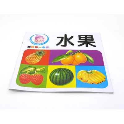聪明宝宝人字启蒙丛书 健康早教益智看图识字 -我的第一本书