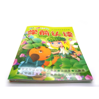 儿童快乐宝宝启蒙 看图识字识词  百数联系 -学前认读