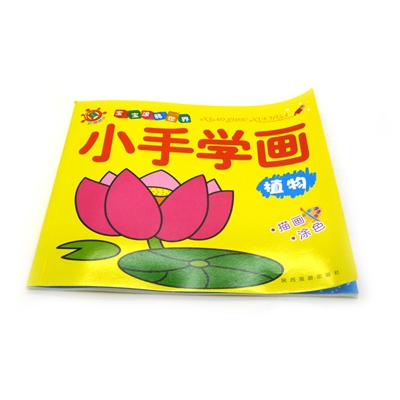 宝宝涂鸦世界 宝宝早教画画  蔬菜植物 -宝宝涂鸦世界小手学画画