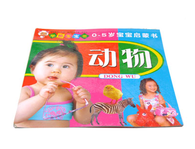 0-5岁宝宝启蒙书 益智早教唐诗 拼音识字水果 -学前宝宝书 