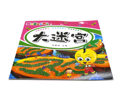 益智书籍 迷宫大挑战 幼教专家倾力推荐 -天才豆大迷宫