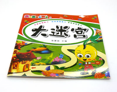 益智书籍 迷宫大挑战 幼教专家倾力推荐 -天才豆大迷宫