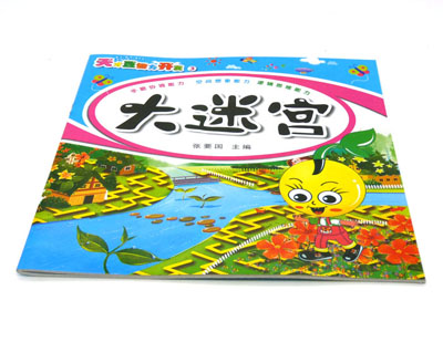 益智书籍 迷宫大挑战 幼教专家倾力推荐 -天才豆大迷宫	