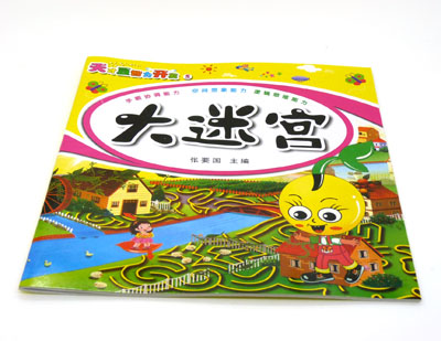 益智书籍 迷宫大挑战 幼教专家倾力推荐 -天才豆大迷宫	