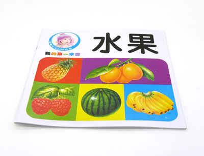 聪明宝宝人字启蒙丛书 健康早教益智看图识字 -我的第一本书