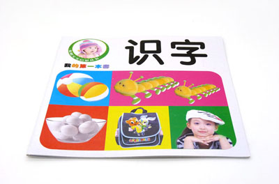 聪明宝宝人字启蒙丛书 健康早教益智看图识字 -我的第一本书	