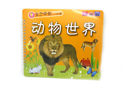 最新版 儿童看图识字图书认知认物 早教启蒙 -宝宝早教一卡通