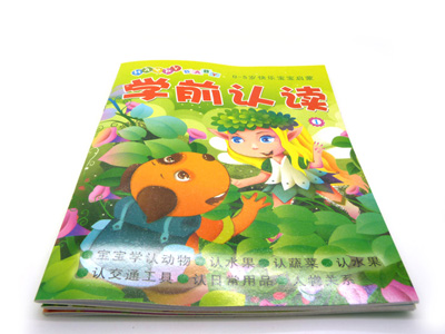 儿童快乐宝宝启蒙 看图识字识词  百数联系 -学前认读