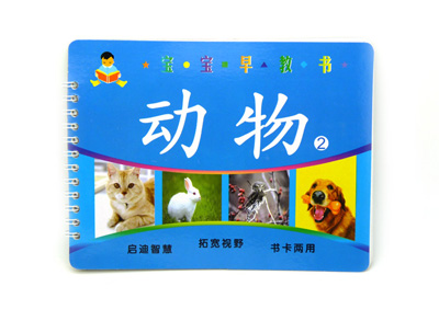 聪明宝宝益智丛书 撕不破早教启蒙学习书 幼儿学习卡 -宝宝早教书