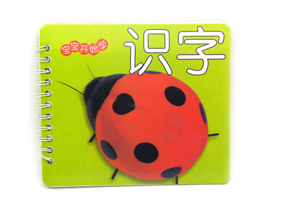 好宝宝早教书 亲子读物童书 卡通认知认物卡片启蒙育儿早教书籍 -宝宝开始学