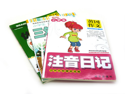 百所名校精品选编 小学生作文 超前理念新颖编排 -5元作文