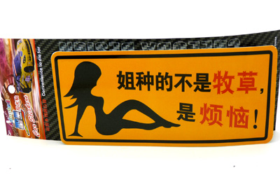 汽车用品车饰 个性搞笑反光车贴 汽车警示贴 汽车车贴/反光彩页汽车贴