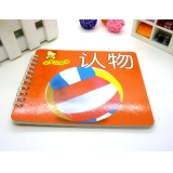 早教书本 儿童识图教材书籍 启蒙图书 幼儿学前识字系列----宝宝开始学