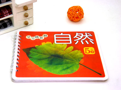 儿童早教卡 启蒙识字卡 ...