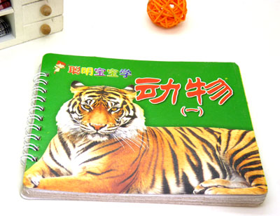 儿童早教卡 启蒙识字卡 ...