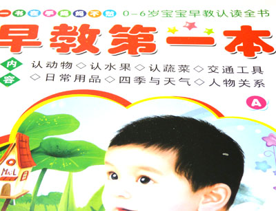 早教书本 儿童识图教材书...