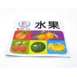 聪明宝宝人字启蒙丛书 健康早教益智看图识字 -我的第一本书