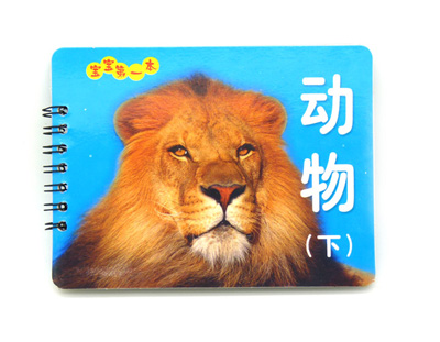 撕不烂翻翻书 宝宝 识字...