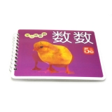 早教读物 启蒙书籍3-9岁 撕不烂 学习随意翻系列故事线圈书 -学习随意翻（线圈）