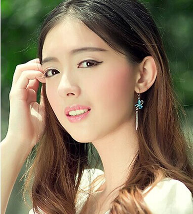 镀银耳环水钻靓女气质流苏耳坠女款耳饰防过敏 耳环长款女