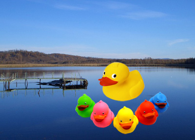 仿真捏捏乐发声出气 发泄玩具 整蛊减压-五彩鸭子包皮叫（一袋5只）(叫叫搪胶鸭子包