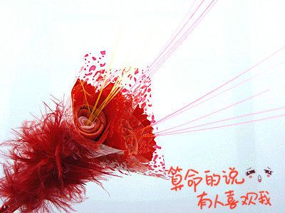 韩版创意喜欢你三朵花/七彩羽毛圆珠笔	