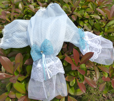 新款开车骑车长款遮阳袖套 淑女防紫外线套袖 蕾丝袖套-38