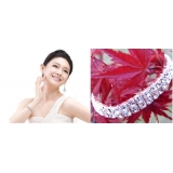 弹力水钻手链 2排镶钻五彩手链首饰品
