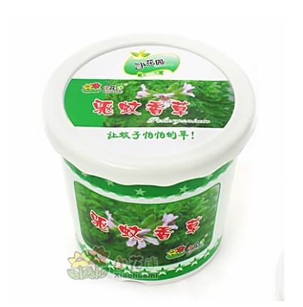 精致小花迷DIY迷你花卉...