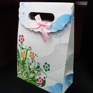 纸礼品袋（中号）