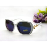 明星款女士偏光太阳眼镜欧美复古开车墨镜潮人-0119