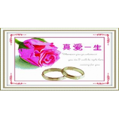 守候幸福（精品）
