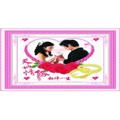 相随一生（精品）